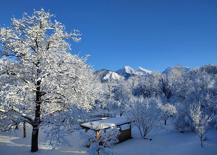برفيك * كراني